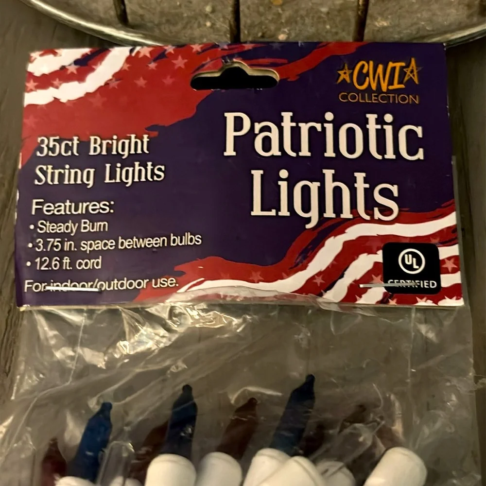 CWI Collection Patriotic Red and White Party Lights 35 count